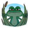 froggy_vk 22