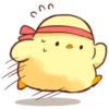 Soft and Cute Chick 19