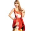 TAYLOR SWIFT 17