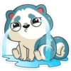 Тео 22