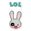 Eddie the Bunny 25