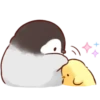 Soft and Cute Chick 22