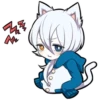 White Kitten 23