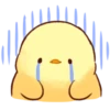 Soft and Cute Chick 24