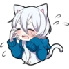 White Kitten 26
