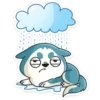 Тео 26