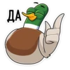duck_vk 5