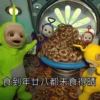 Teletubbies Say Hello 13