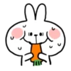 Spoiled rabbit Summer 5