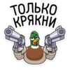 duck_vk 8