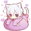 White Kitten 7