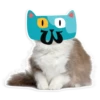 22
00