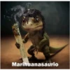 DINO PROFECIONES 9