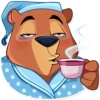 Todd Bear 13