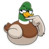duck_vk 9