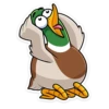 duck_vk 10