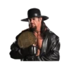 WWE 12