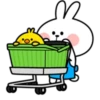 Rabbitto 14