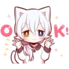White Kitten 8