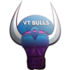 Virtual Tourist Token VT 7