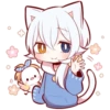 White Kitten 12