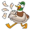 duck_vk 14
