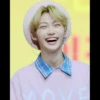 Felix Stray Kids 8