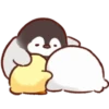 Soft and Cute Chick 11