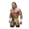 WWE 15