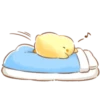 Soft and Cute Chick 12