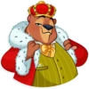 Todd Bear 21