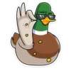 duck_vk 16