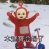 Teletubbies Say Hello 19