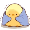 Soft and Cute Chick 15