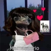 CHANEL
Mamasaurio
B