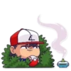Pokémon 9