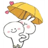 Rabbitto 18