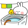 Rabbitto 19