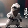 Karatesaurio
澪