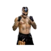 WWE 26