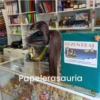BUZON REAL
Papelerasauria