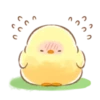Soft and Cute Chick 19
