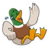 duck_vk 21
