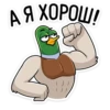duck_vk 22