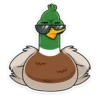 duck_vk 23