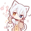 White Kitten 23