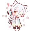 White Kitten 24
