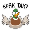 duck_vk 24