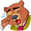 Todd Bear 29