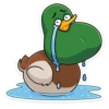 duck_vk 26